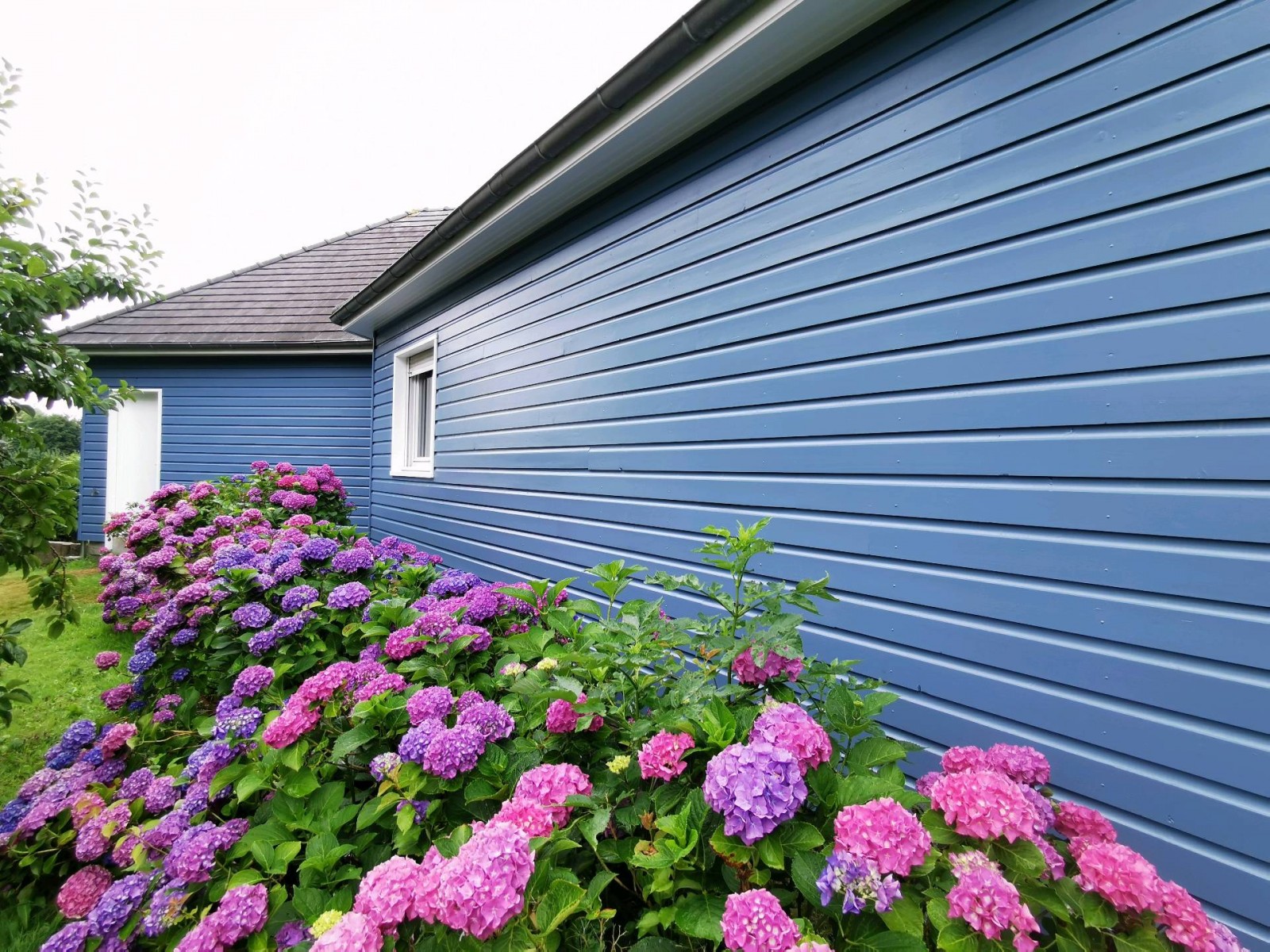 Réfection d'une façade en clin sur la commune de Saint-Jean du Cardonnay