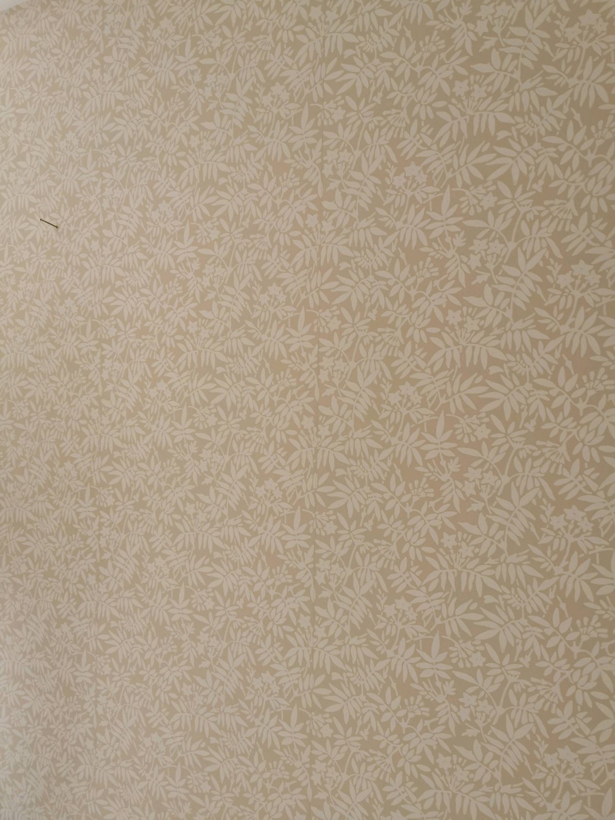 Peintre qualifié pour la pose de papier peint pour décoration à Saint-Martin-du-Vivier proche de Bihorel 76