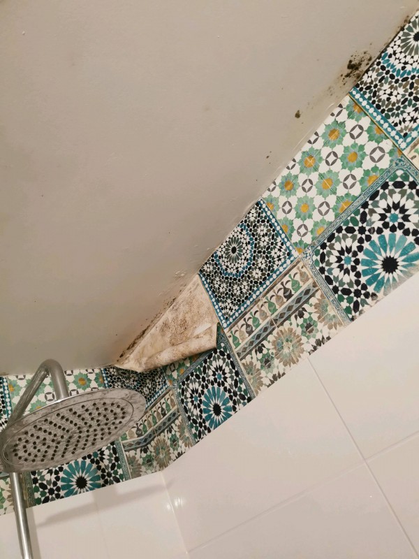 Travaux de peinture et de revêtement mural suite à un sinistre dégât des eaux dans une salle de bain sur le secteur de Bonsecours