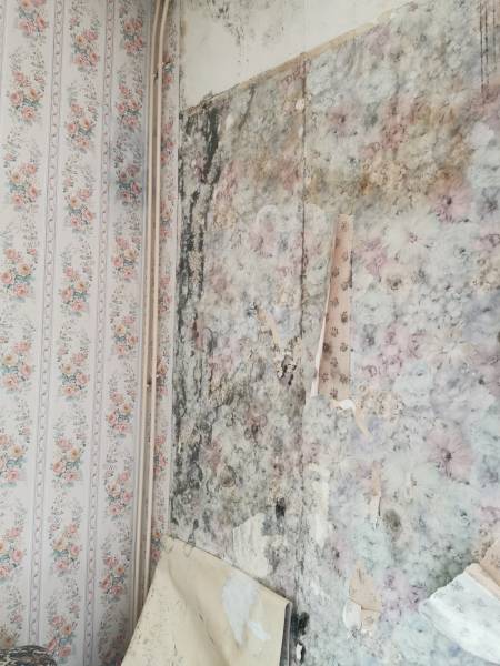 Travaux de peinture et papier peint après sinistre proche de Rouen