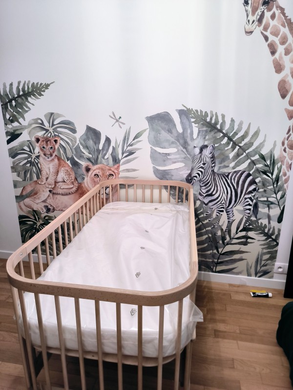 pose d'un papier peint panoramique sur la commune de Bihorel