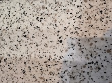 Nos prestations sur le secteur de Bihorel 76420 en Seine Maritime