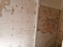 Nos prestations sur le secteur de Bihorel 76420 en Seine Maritime